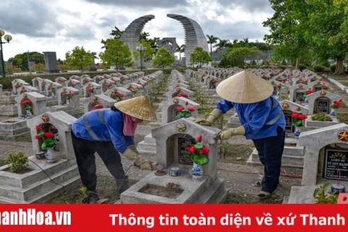 Chăm sóc nghĩa trang liệt sỹ Hàm Rồng