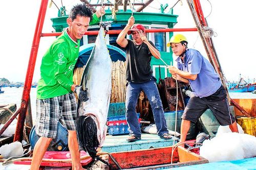 Nha Trang: Phát triển nông nghiệp hướng biển