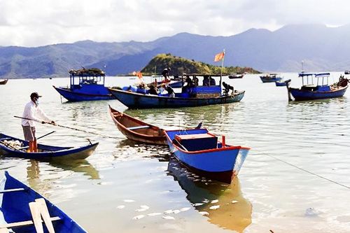 Xã Ninh Ích: Cá chết, người nuôi lao đao