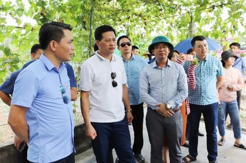 Trao đổi kinh nghiệm triển khai chương trình OCOP