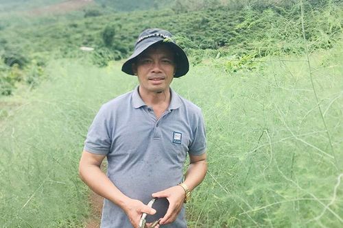 Cải tạo vườn bằng cách 'lấy ngắn nuôi dài'
