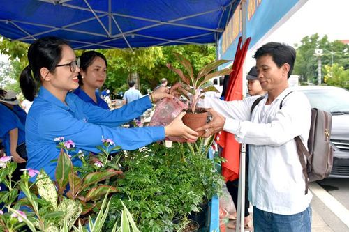 Tuổi trẻ chung tay chống rác thải nhựa
