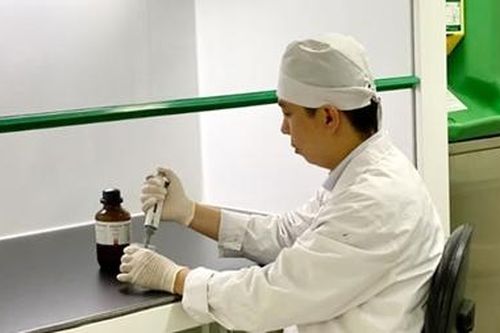Các nhà khoa học 'biến' ba kích thành sản phẩm chống loãng xương của người Việt