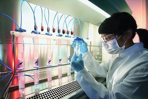 Xét nghiệm ADN, nước mắt xen lẫn nụ cười