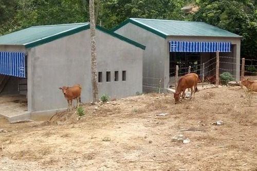 Đề án hỗ trợ phát triển KT-XH dân tộc Ơ Đu: Nhiều sai sót, công an vào cuộc