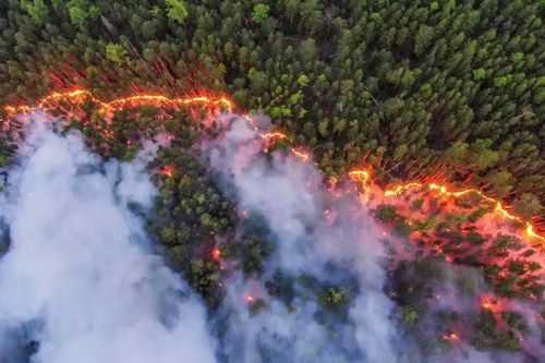 Hàng trăm đám cháy rừng nhấn chìm Siberia băng giá trong khói lửa