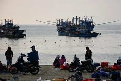 Nhộn nhịp chợ cá ven biển Sơn Trà