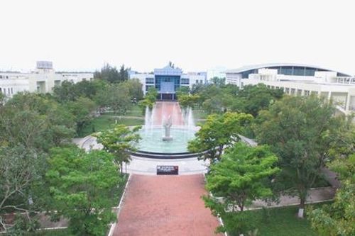 Tái cấu trúc hệ thống giáo dục đại học: Chờ chiến lược dài hơi