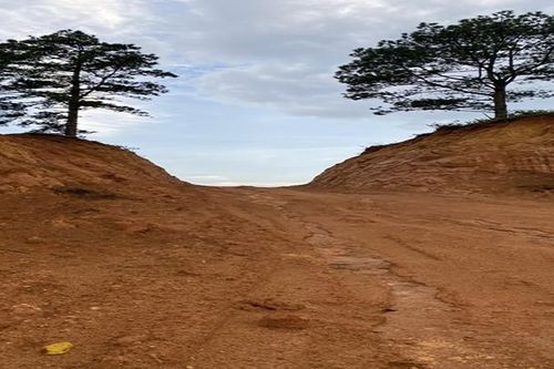 TP Đà Lạt, Lâm Đồng: Đề xuất phạt 27 triệu đồng công ty tự ý xẻ núi làm đường