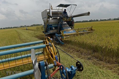 Việt Nam sắp vượt Thái Lan trở thành nhà xuất khẩu gạo lớn thứ hai thế giới