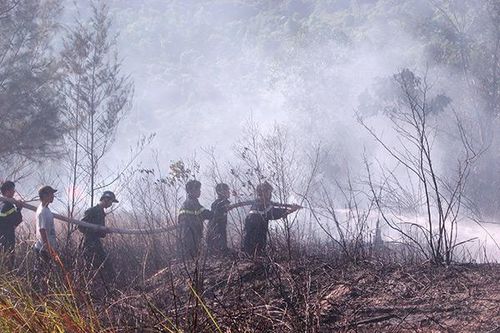 Đà Nẵng: Báo động nguy cơ cháy rừng lên đến cấp cao nhất: 'Rất nguy hiểm'!
