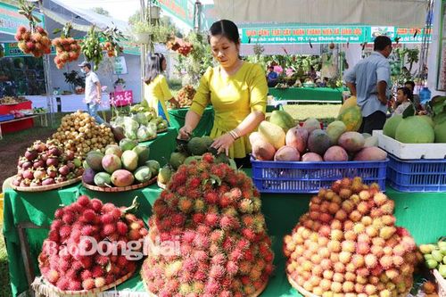 TP.Long Khánh kiến nghị cơ chế phát triển du lịch sinh thái vườn