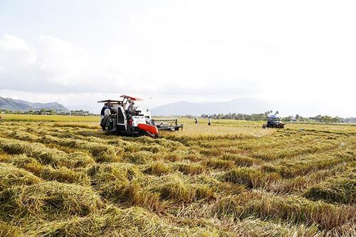Nguồn vốn cho vay kinh tế tập thể còn thấp
