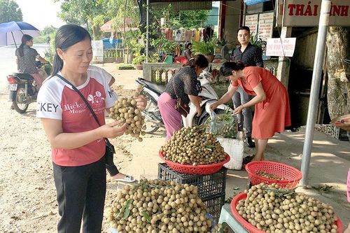 Mùa nhãn có ngọt?