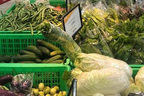 Xử lý thuế đối với mặt hàng giống cây trồng nhập khẩu