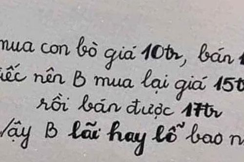 Bài toán bán bò lỗ hay lãi khiến nhiều người bỏ cuộc, còn bạn?