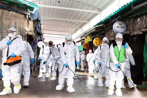 COVID-19: Số ca mắc trên toàn cầu vượt 15 triệu