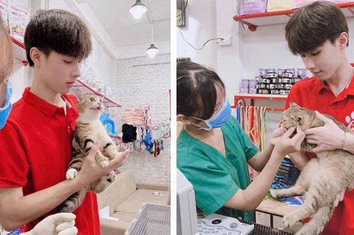 10X điển trai được mệnh danh 'hotboy ôm mèo' khiến dân mạng mê mệt