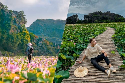 Ninh Bình sau dịch COVID-19: Đầm sen Hang Múa là điểm nhấn thu hút khách du lịch