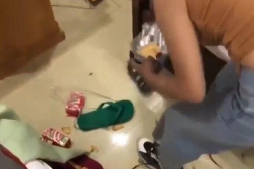 Nhóm khách xả rác Vũng Tàu xin lỗi vì hành động thiếu suy nghĩ