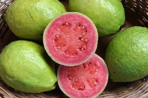Mỹ tăng nhập khẩu xoài, ổi, măng cụt của Việt Nam