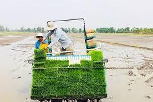 Khuyến khích tư nhân đầu tư cơ giới hóa