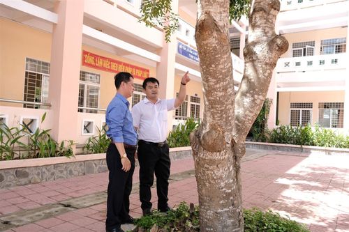 Duy trì mảng xanh trường học mà vẫn an toàn