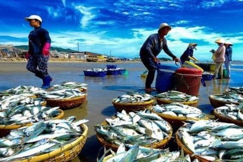 Nhận diện chiêu lừa đảo mạo danh các công ty xuất khẩu Na Uy