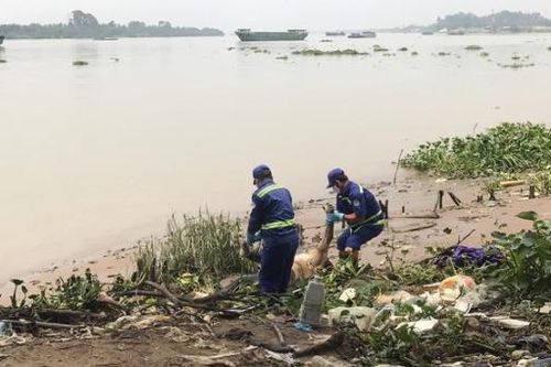Thi thể nam giới đang phân hủy nổi trên sông Đồng Nai