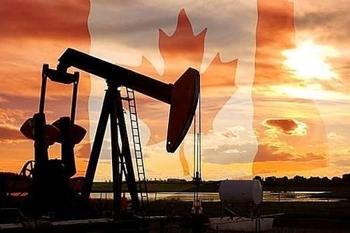 Các nhà sản xuất dầu Canada chưa vội vàng đưa sản xuất trở lại