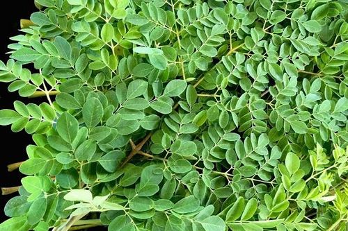 Những loại rau gây sảy thai, sinh non mẹ bầu tuyệt đối không nên ăn