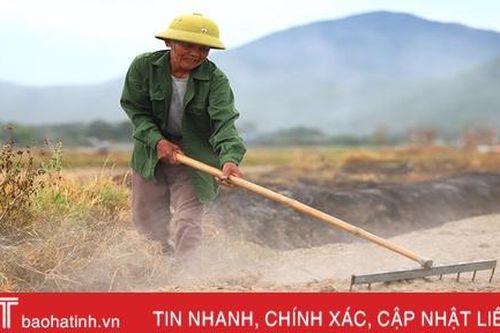Nơi nông dân Hà Tĩnh xem rơm là vật liệu quý...