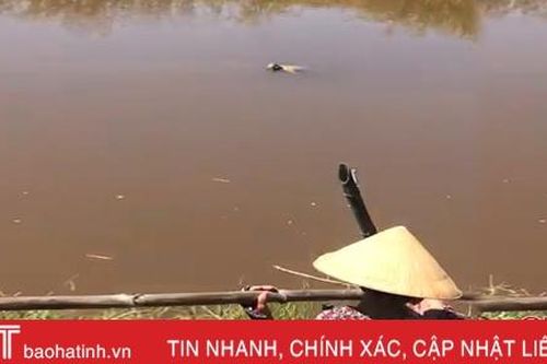 Phát hiện thi thể người đàn ông trên Kênh 19-5 ở Đức Thọ