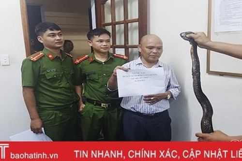 Bắt đối tượng vận chuyển 2 cá thể rắn hổ mang chúa nặng 3,4 kg