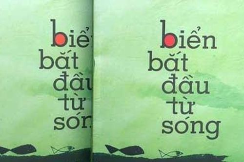 Biển bắt đầu từ sóng