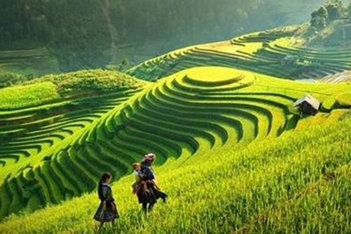 Ngày mới