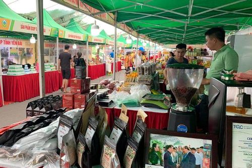 Điện Biên tham gia 4 gian hàng trong sự kiện giới thiệu, quảng bá sản phẩm OCOP tại Hà Nội