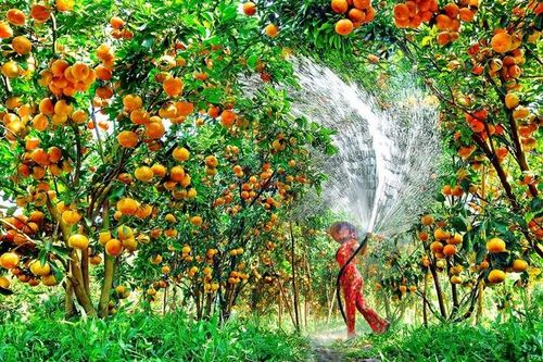 Phân tích xu hướng biến động của khách du lịch quốc tế đến Việt Nam và một số đề xuất