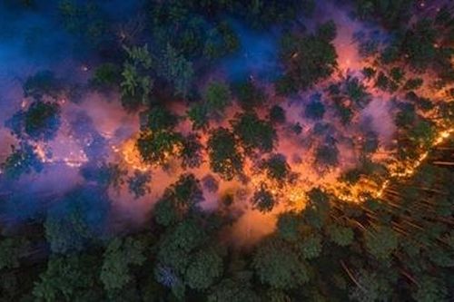 Lửa thiêu trụi hàng triệu hecta rừng Siberia