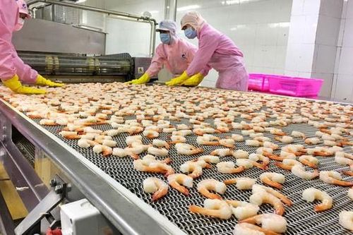 Xuất khẩu tôm 6 tháng đầu năm tăng 5,7%