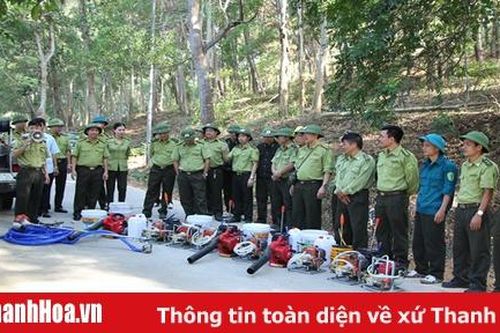 Cải tạo máy cắt thực bì thành hệ thống chữa cháy rừng cơ động