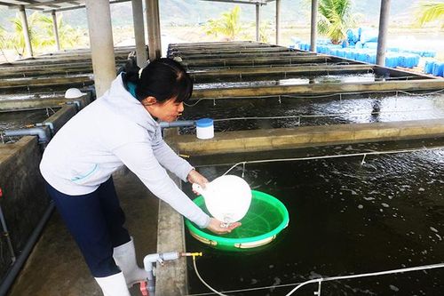 Phổ biến một số sáng kiến đạt giải Hội thi Sáng tạo khoa học - kỹ thuật tỉnh
