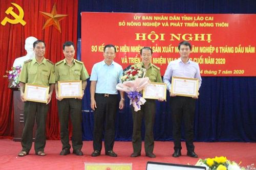 Ngành nông nghiệp phấn đấu duy trì tốc độ tăng trưởng trên 6%/năm