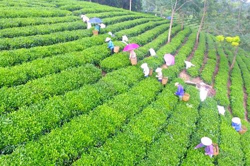 Bước 'đột phá' trong giải quyết việc làm, giảm nghèo