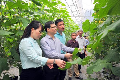 Sơn Dương bứt phá phát triển