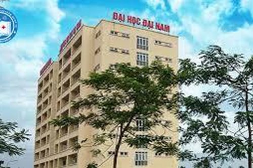 Thực trạng một số nhân tố tác động đến sự hài lòng của SV đối với chương trình đào tạo ngành Du lịch của Trường Đại học Đại Nam
