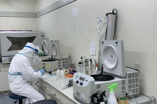 Chuyên gia nước ngoài phải được xét nghiệm COVID từ 3-7 ngày trước khi vào Việt Nam