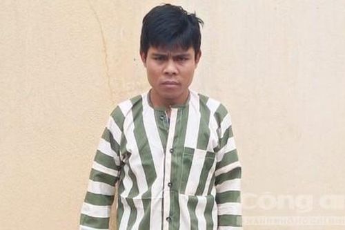 Sắm bộ đàm để cảnh giới việc khai thác gỗ lậu trong khu bảo tồn