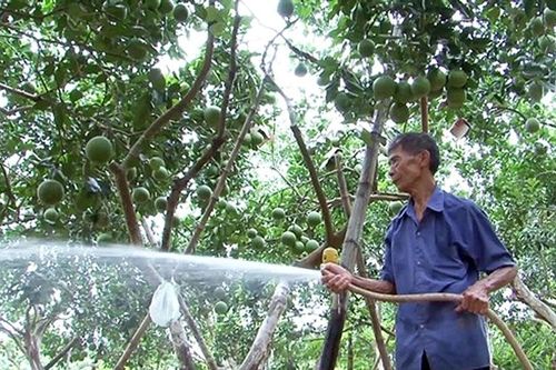 Chung sức xây dựng Thủ đô giàu đẹp