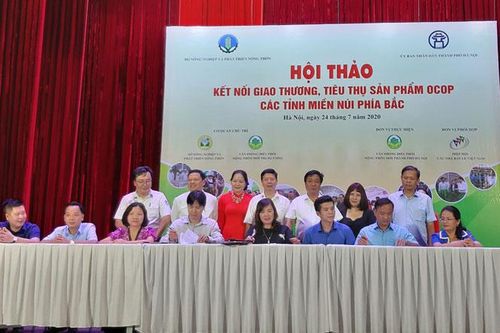 Kết nối giao thương, tiêu thụ sản phẩm OCOP các tỉnh miền núi phía Bắc
